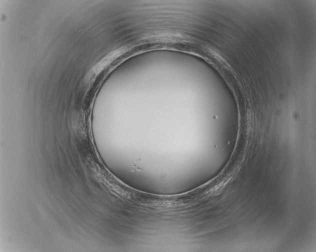 X0000052980970200507221323