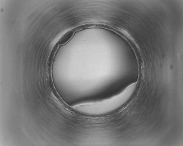 X0000052980972200507221323