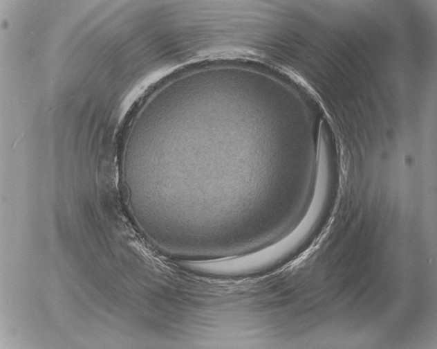 X0000052980973200507221323