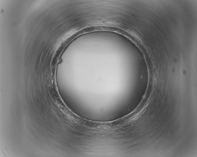 X0000052980974200507221323