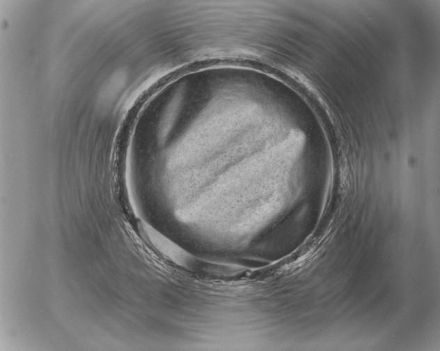 X0000052980975200507221323