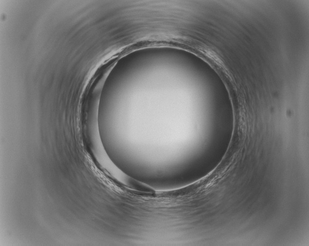 X0000052980976200507221323