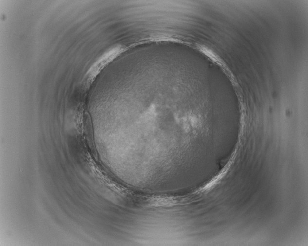 X0000052980977200507221323