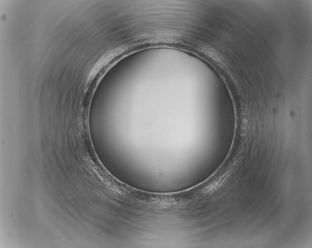 X0000052980978200507221323