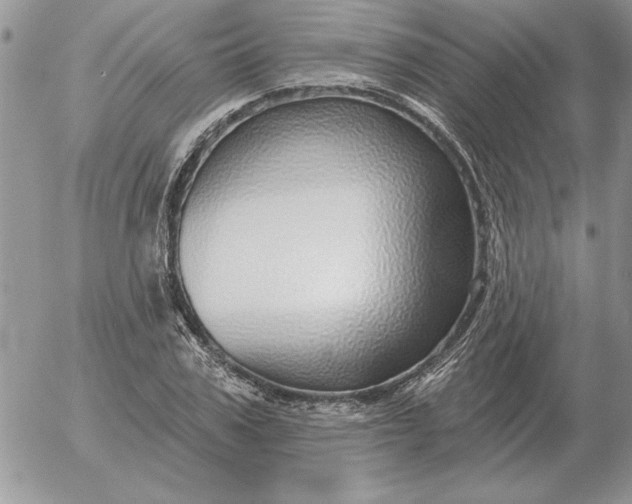 X0000052980979200507221323