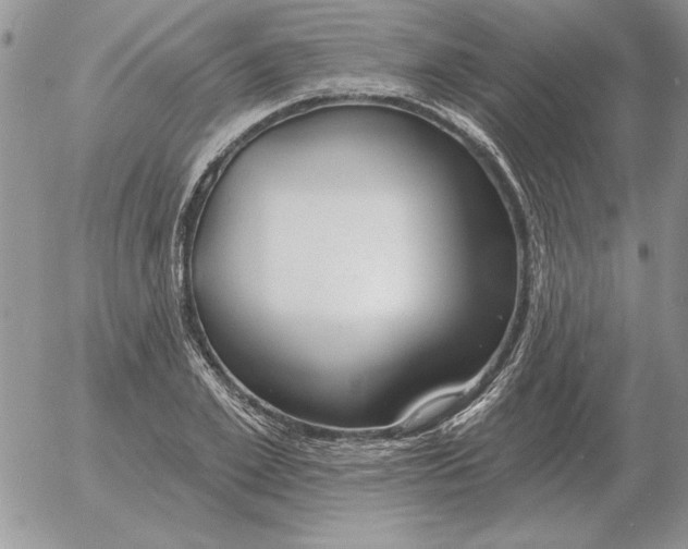 X0000052980981200507221323