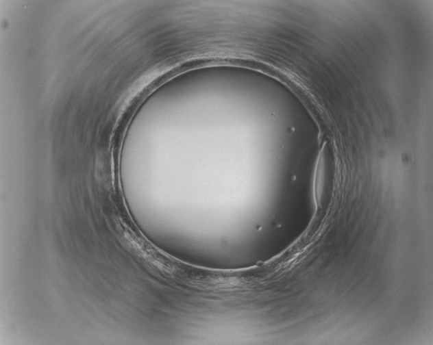 X0000052980982200507221323