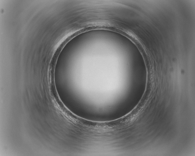 X0000052980983200507221323