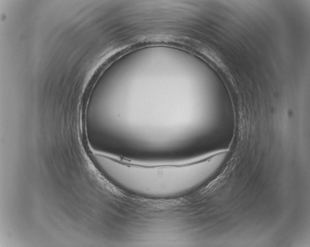 X0000052980984200507221323