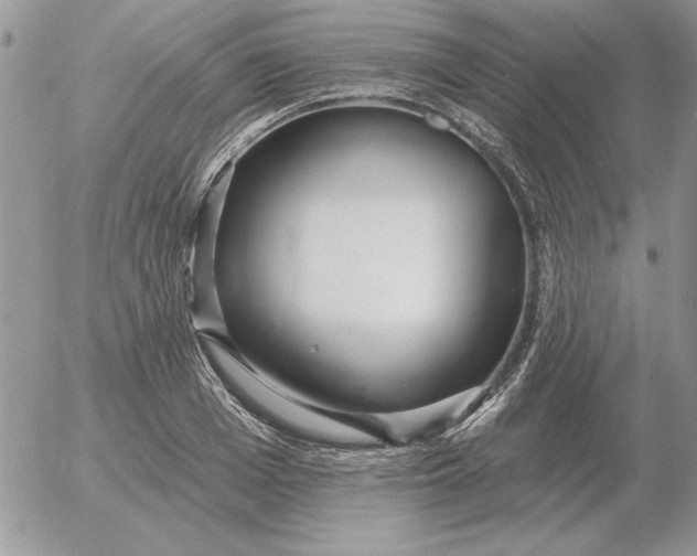 X0000052980985200507221323