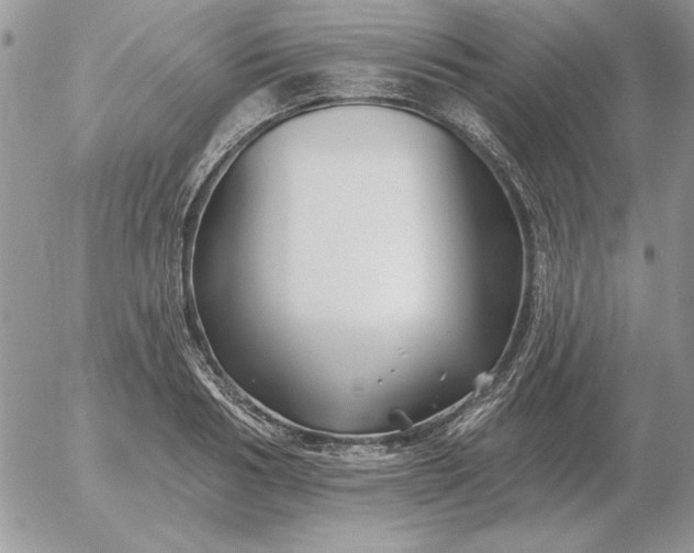 X0000052980986200507221323