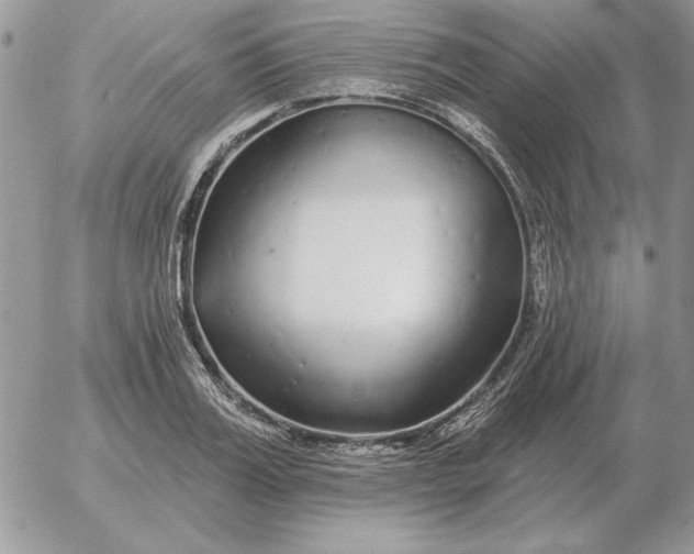 X0000052980987200507221323