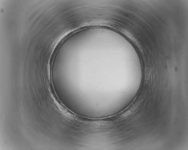 X0000052980988200507221323