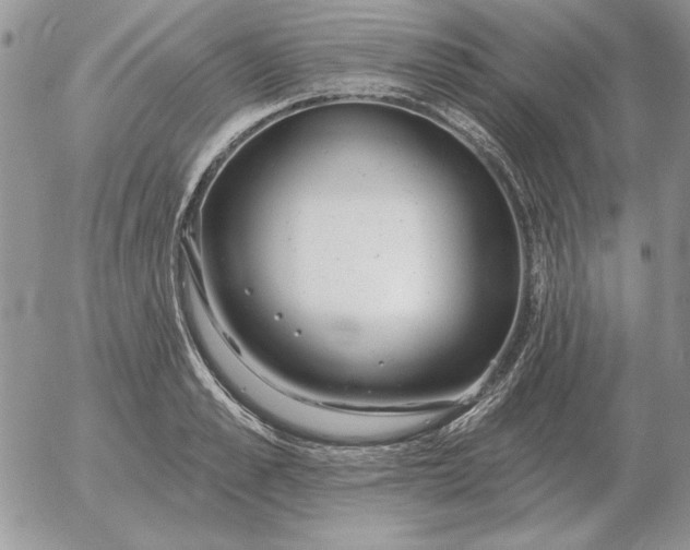 X0000052980989200507221323