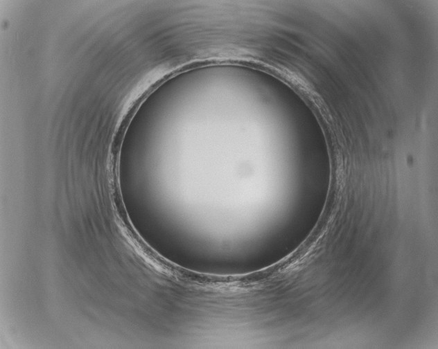 X0000052980990200507221323