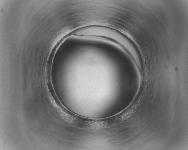 X0000052980991200507221323