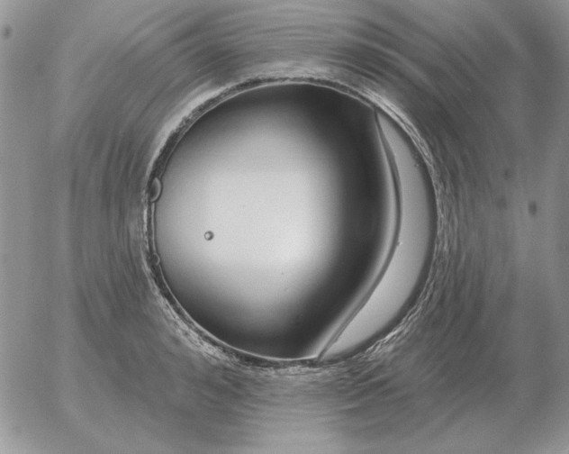 X0000052980992200507221323