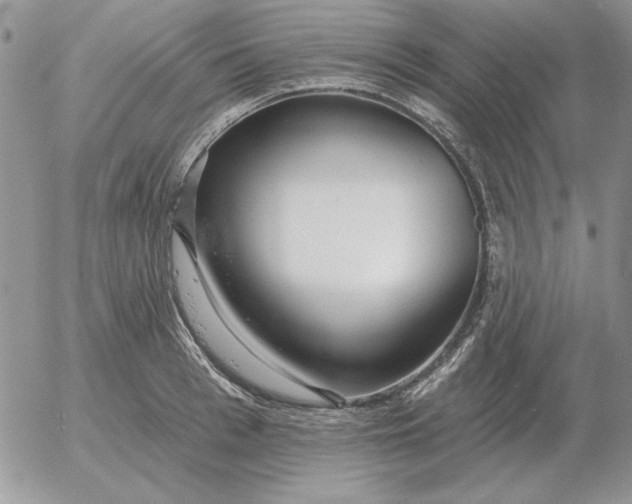 X0000052980993200507221323