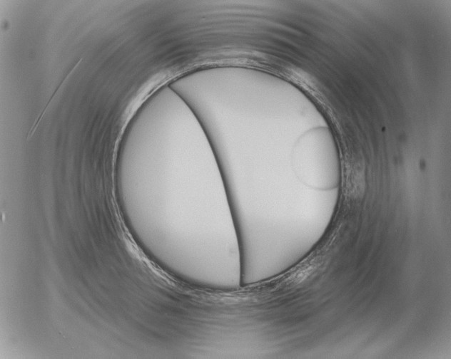 X0000052980994200507221323