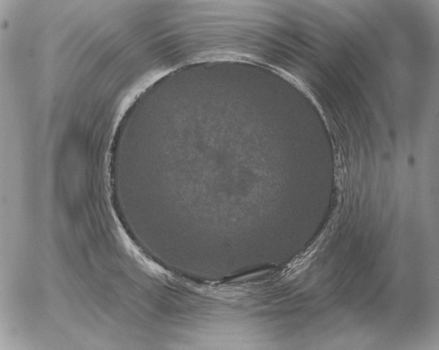 X0000052980995200507221323