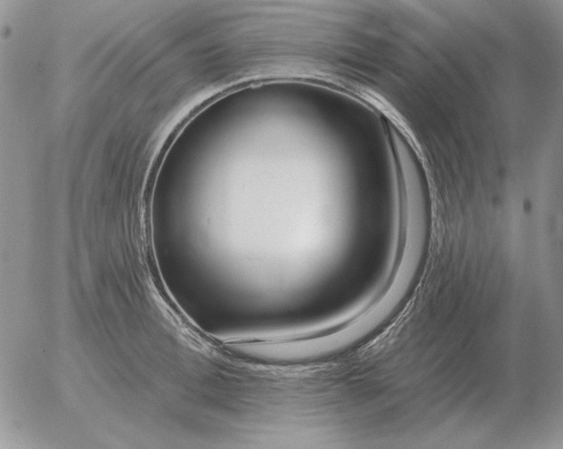 X0000052980996200507221323