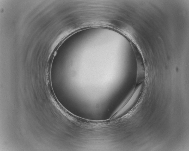 X0000052980997200507221323