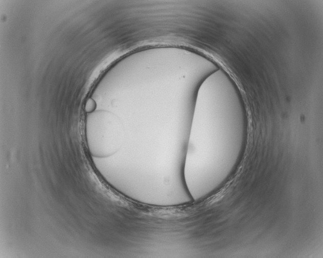 X0000052980998200507221323