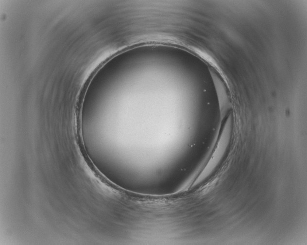 X0000052980999200507221323