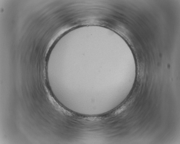 X0000052981000200507221323