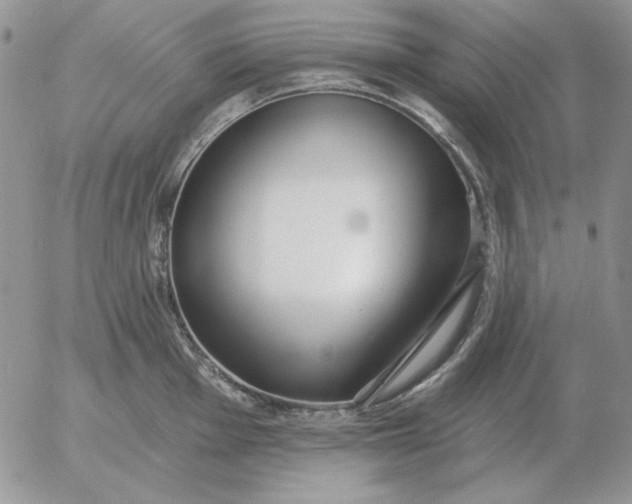 X0000052981001200507221323