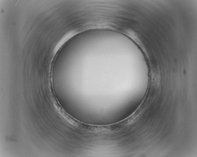 X0000052981002200507221323