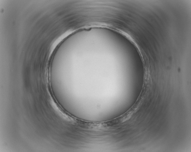 X0000052981003200507221323