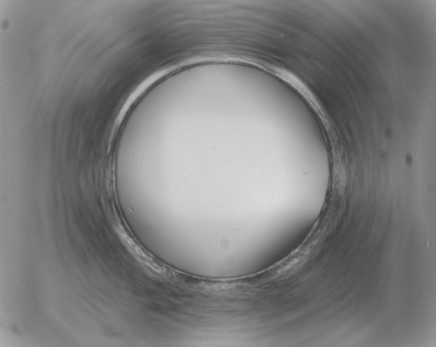 X0000052981004200507221323