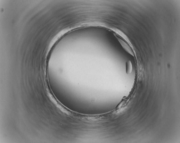 X0000052981005200507221323