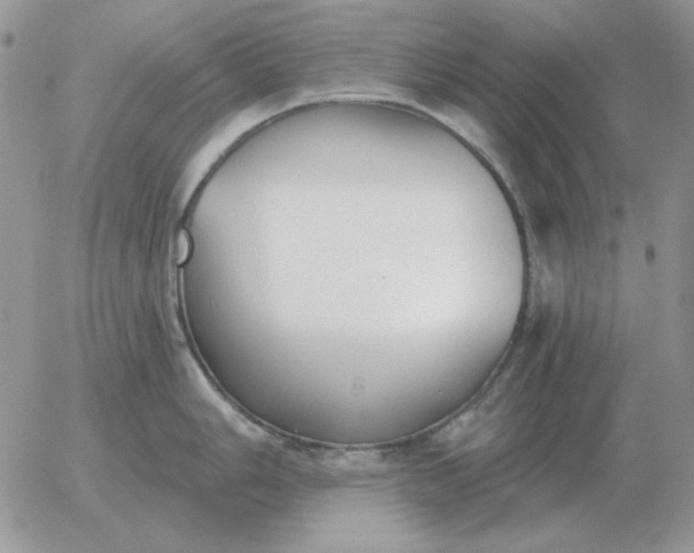 X0000052981006200507221323