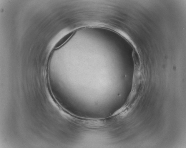 X0000052981007200507221323