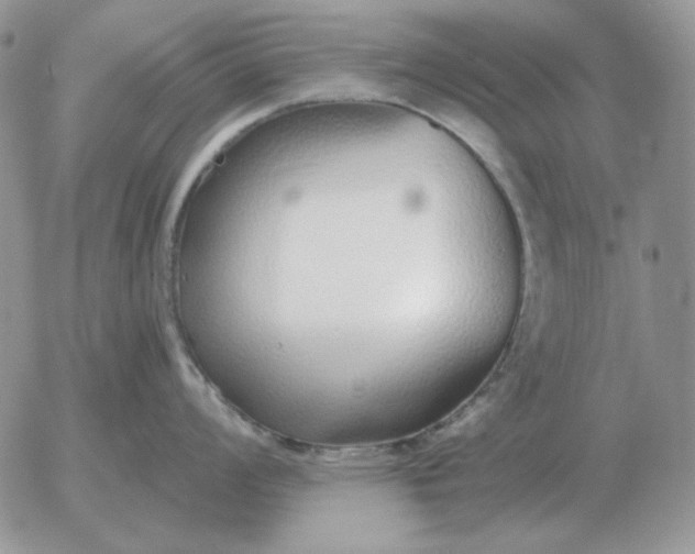 X0000052981008200507221323