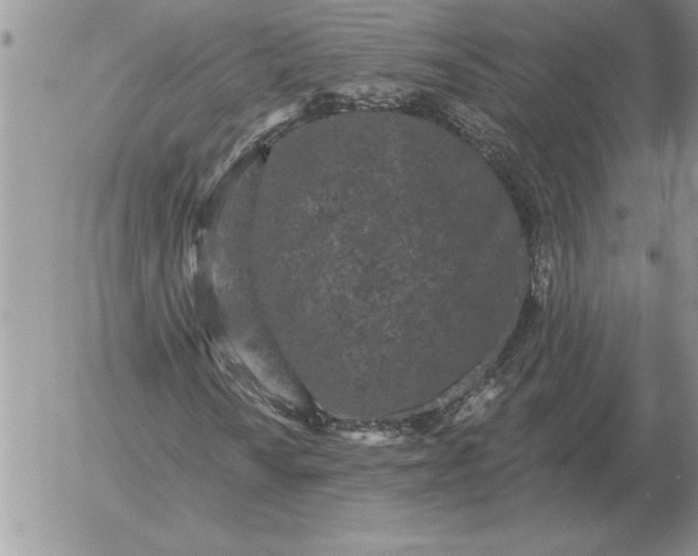 X0000052981010200507221322