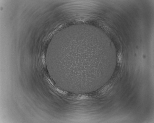 X0000052981011200507221322