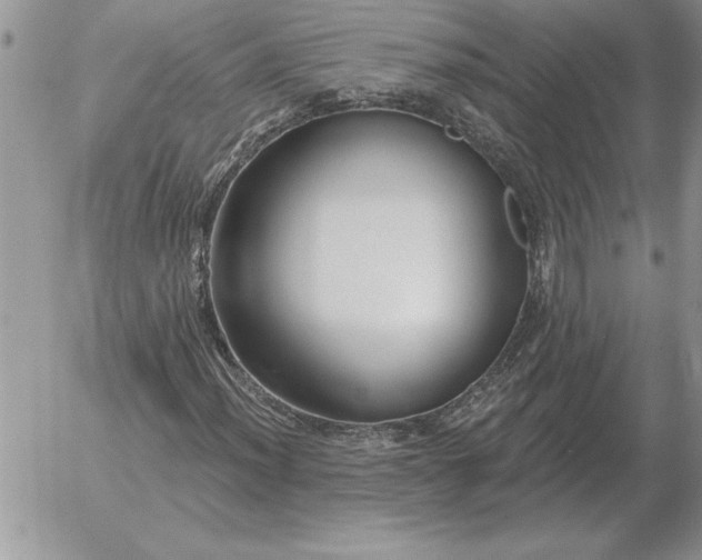 X0000052981012200507221322