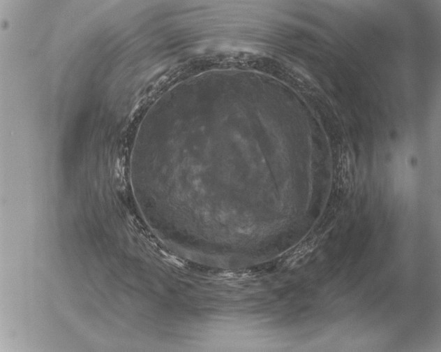 X0000052981013200507221322