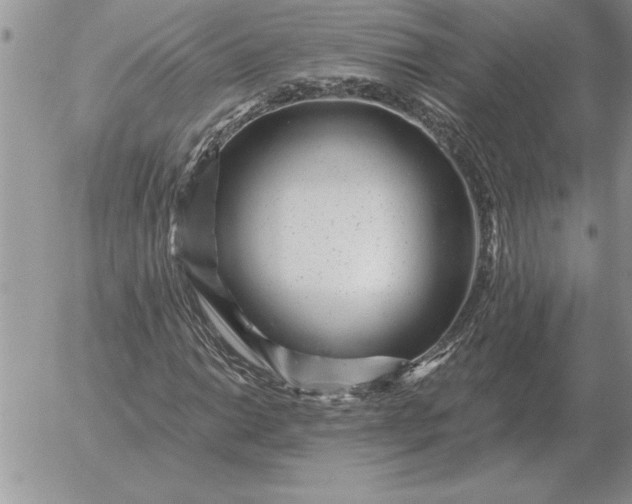 X0000052981014200507221322