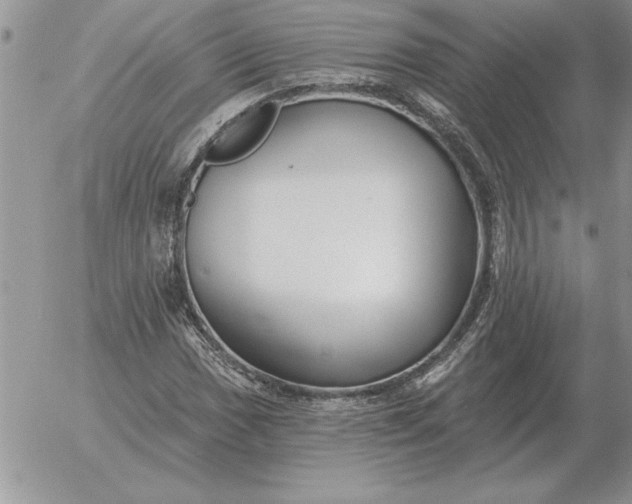 X0000052981017200507221322