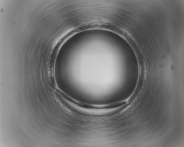 X0000052981018200507221322