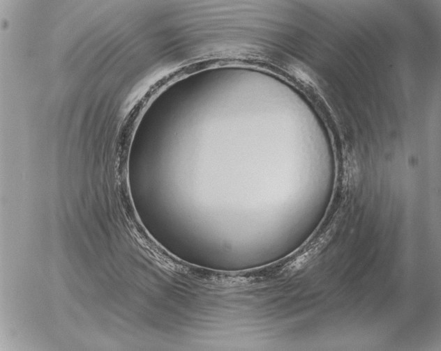 X0000052981019200507221322