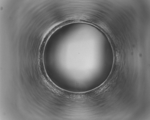 X0000052981020200507221322