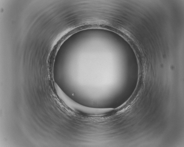 X0000052981022200507221322