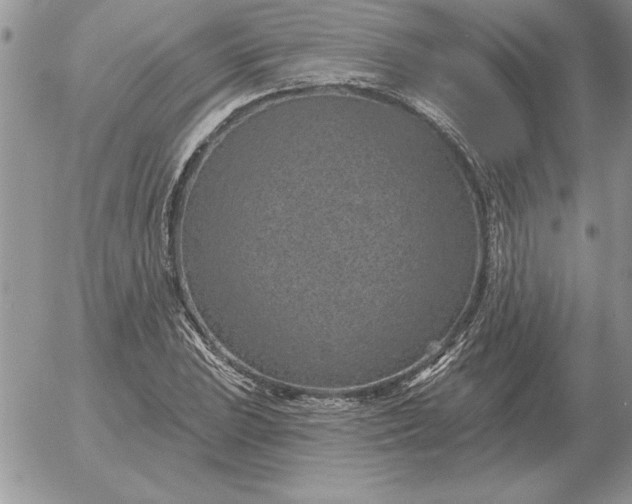 X0000052981023200507221322