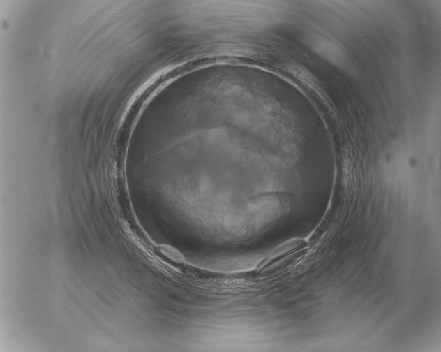 X0000052981024200507221322