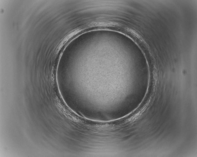 X0000052981025200507221322